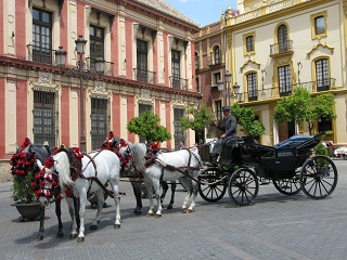 Sevilla - Horse drawn carriage